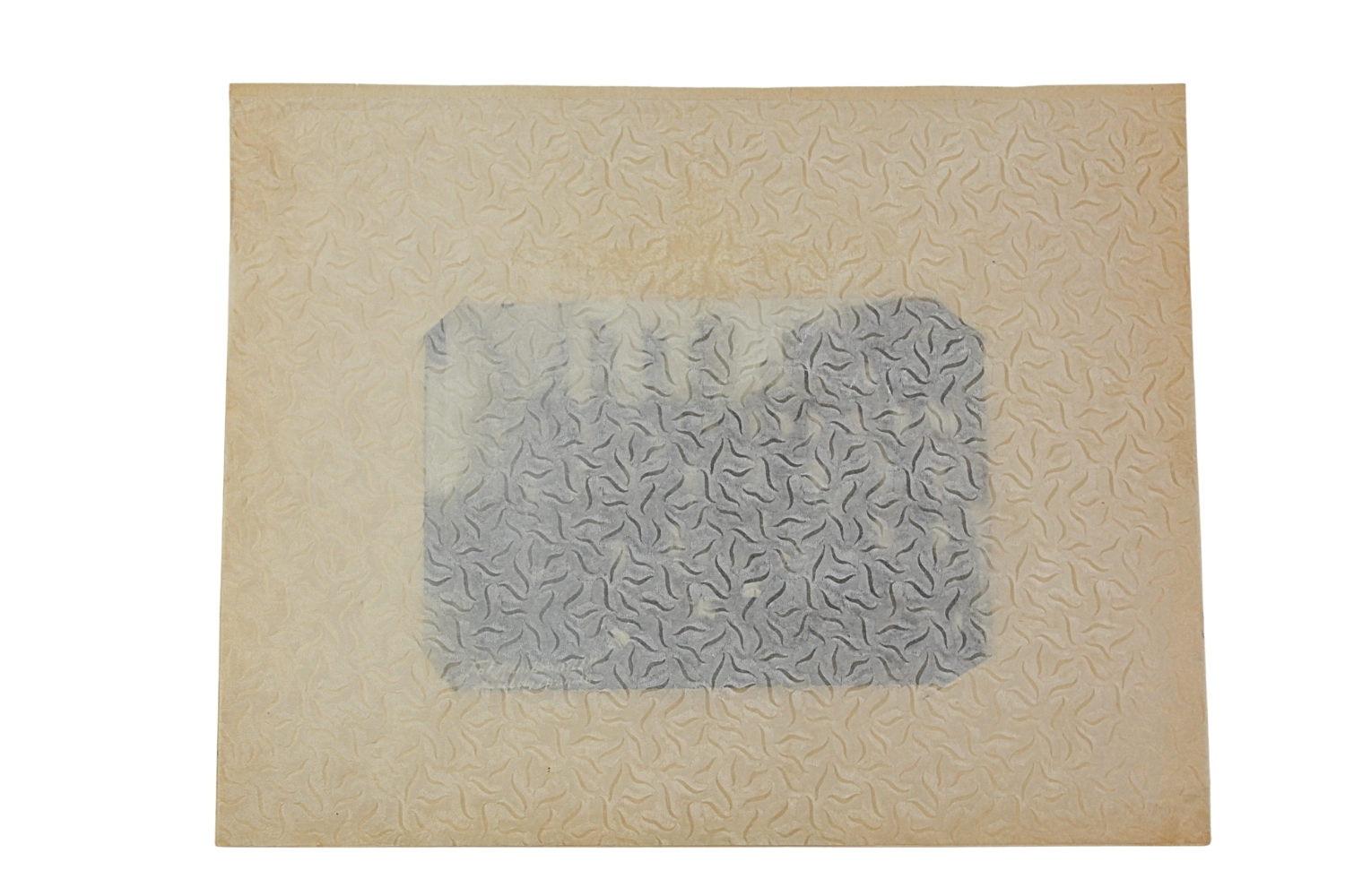 II RP Fotografia Kasyno 8 Pułk Piechoty Legionów Lublin