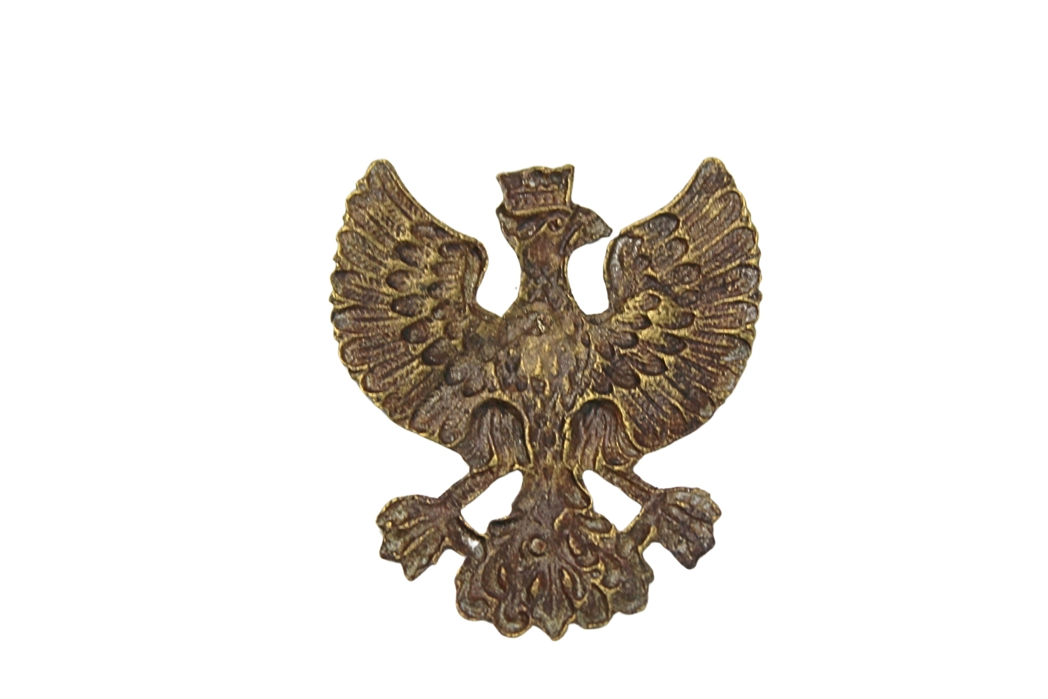 Orzeł Wielkopolski ciekawa odmiana