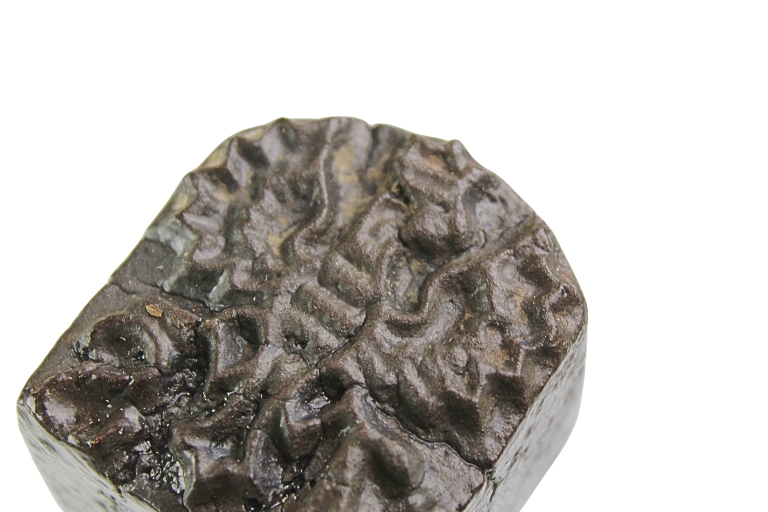 II RP Kawaleria Stempel do znakowania koni M.S. Wojsk