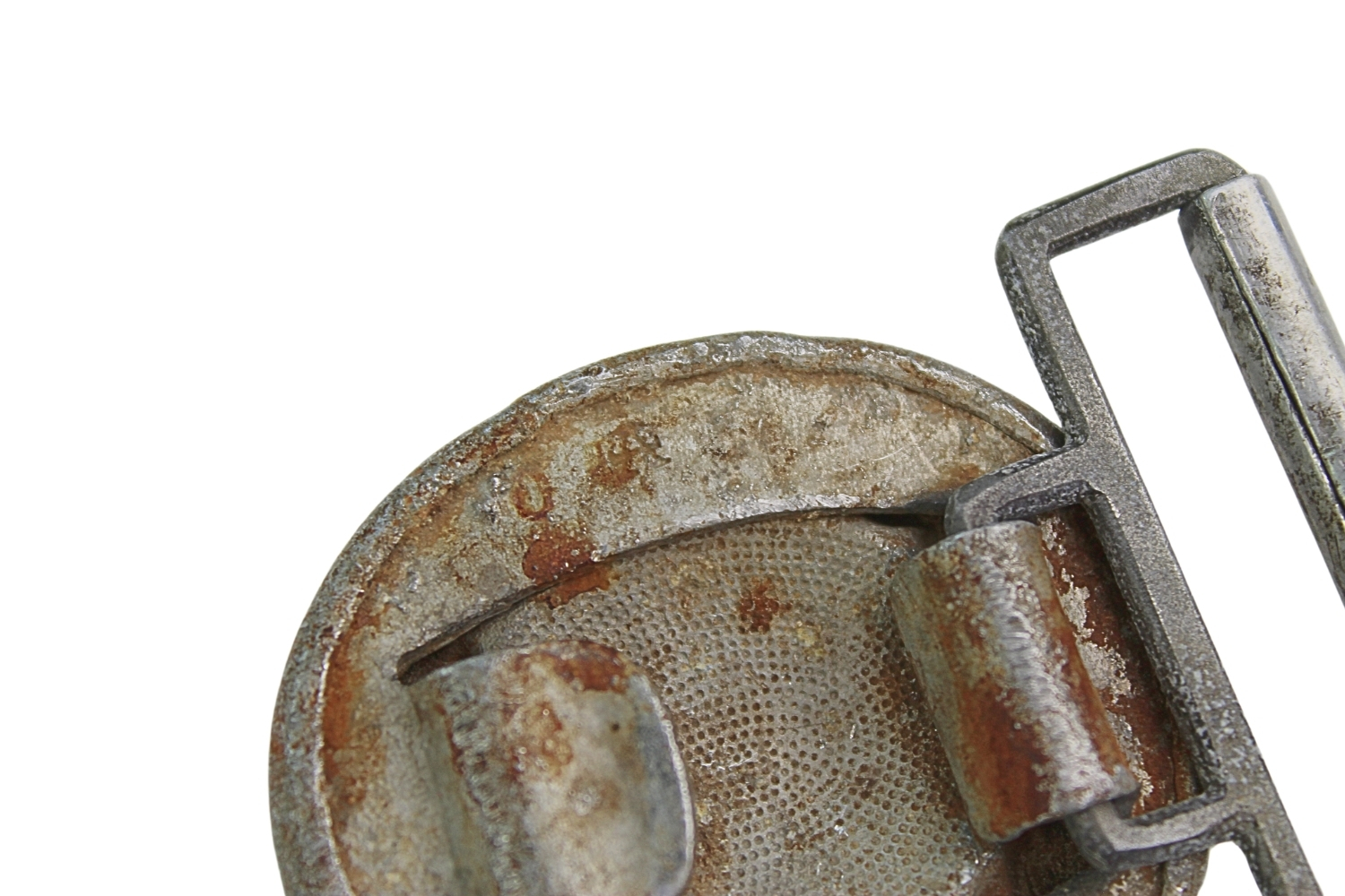 Klamra niemiecka leśniczego