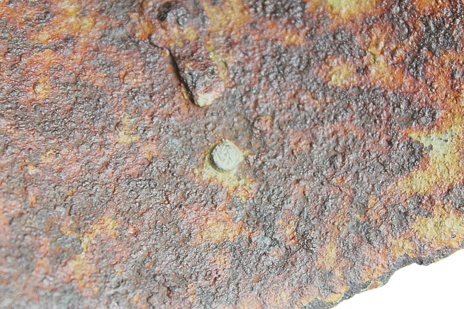 HEŁM WZ. 31 CZEROWNA GWIAZDA