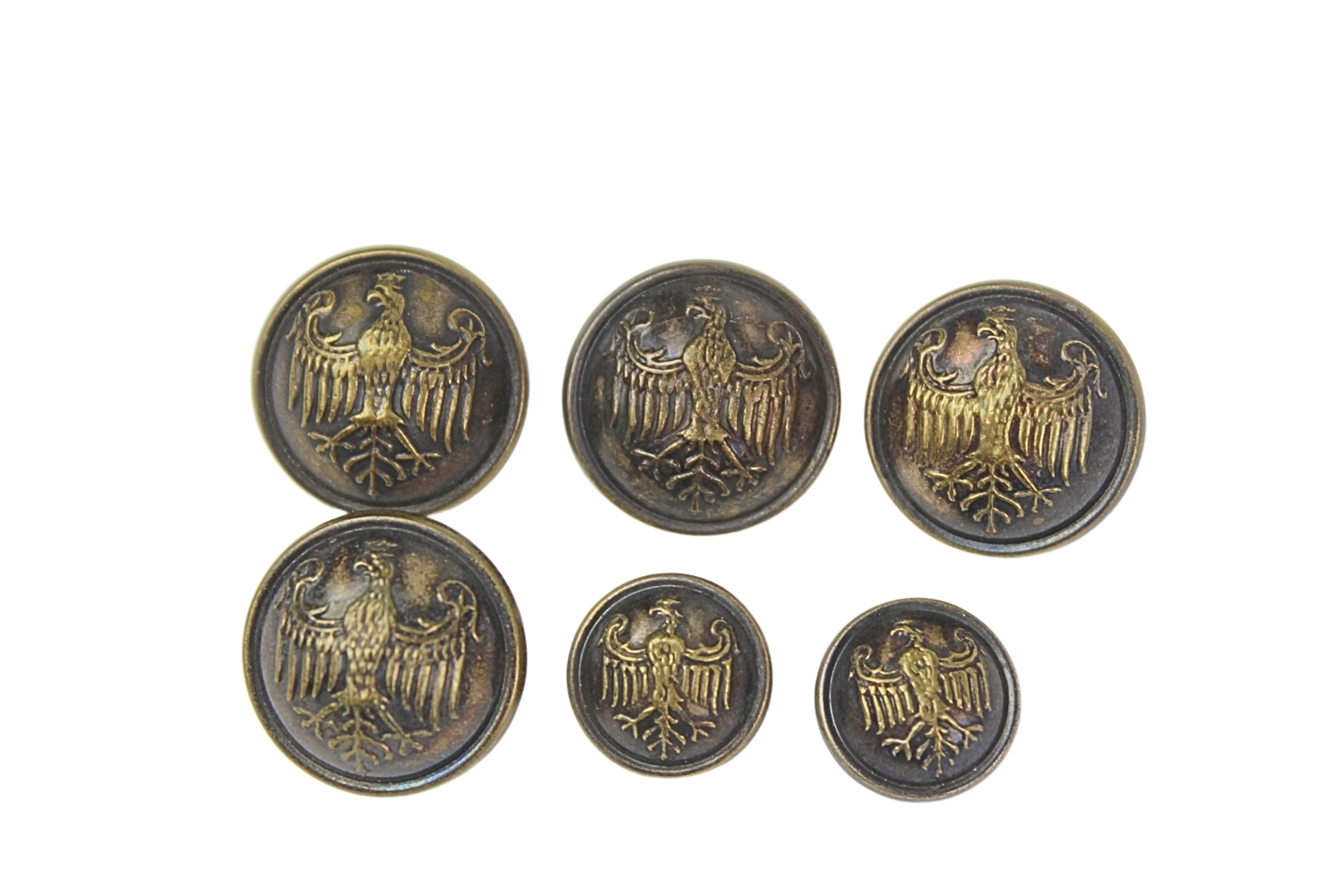 Zestaw guzików w typie Hallerowskim
