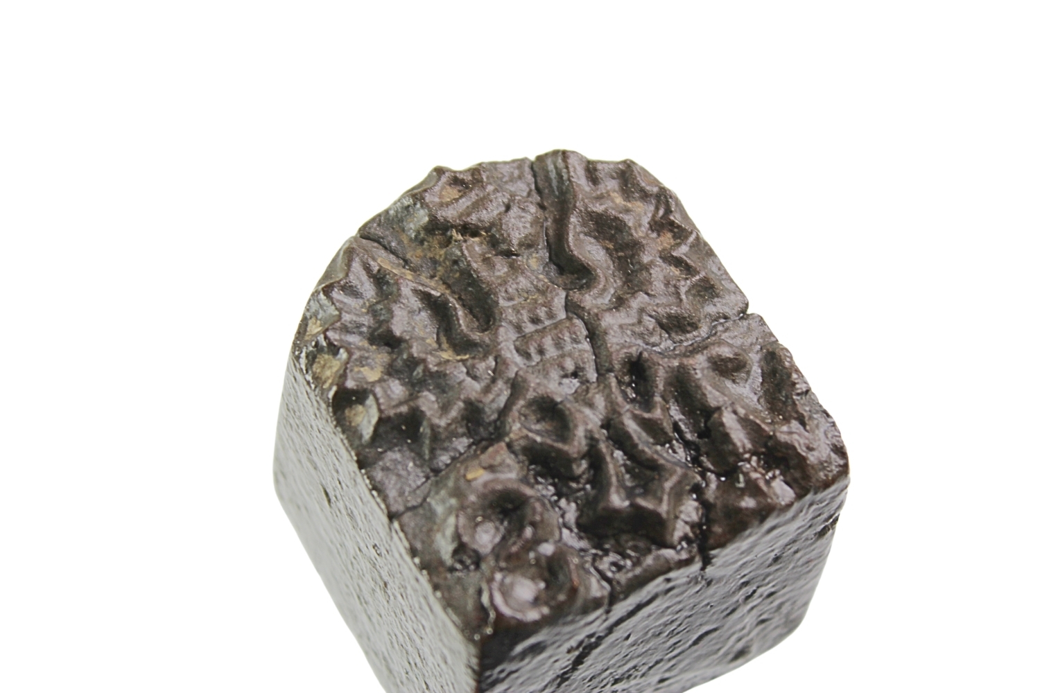 II RP Kawaleria Stempel do znakowania koni M.S. Wojsk