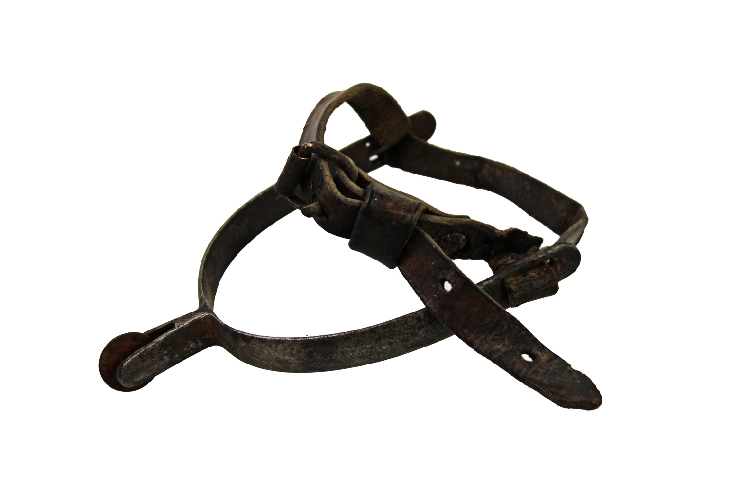 II RP Kawaleria Ostroga Światowit Myszków 1933