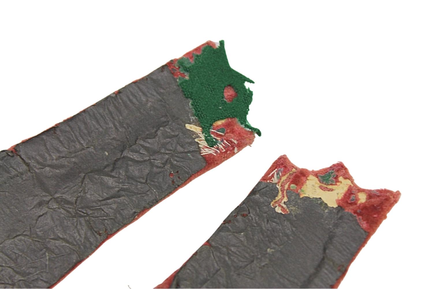 II RP Para Patek lekarza weterynarii