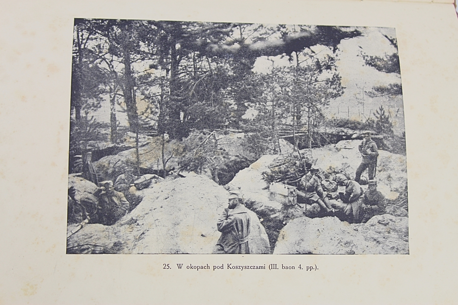 II RP 4 Pułk Piechoty Legionów Lwów 1916