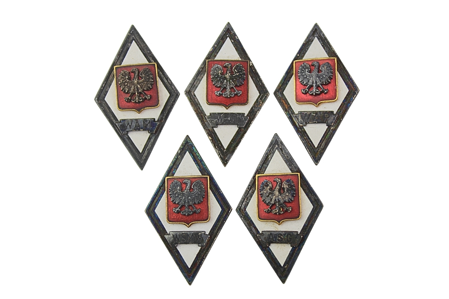 Zestaw odznak Absolwentek 