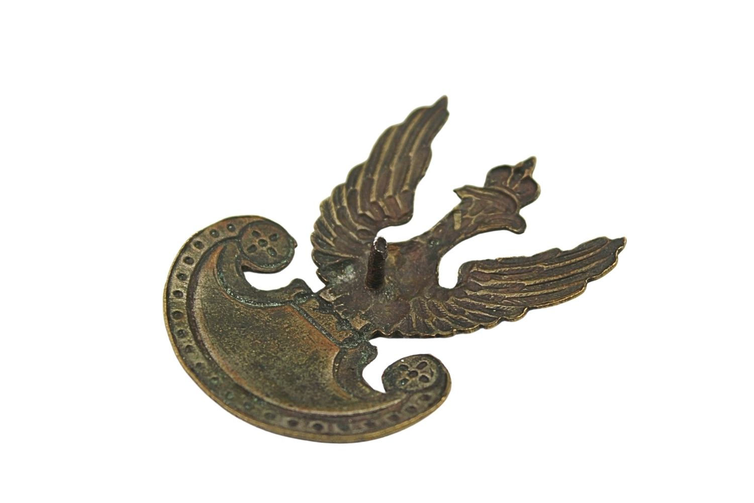 II RP Orzeł wz. 19 Ciekawy