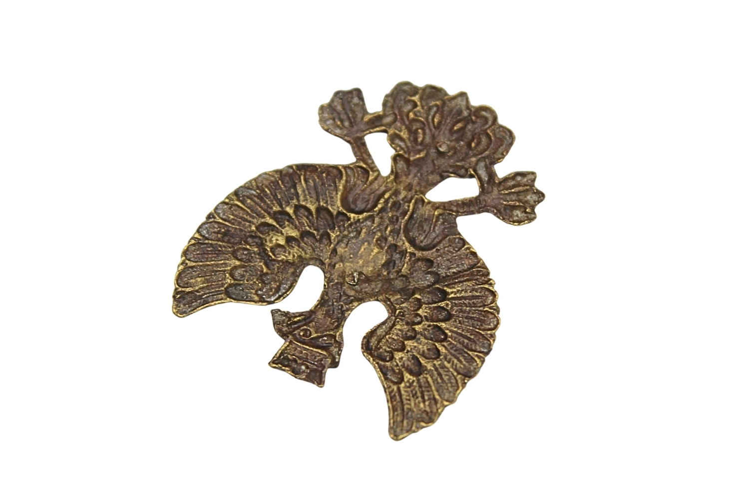 Orzeł Wielkopolski ciekawa odmiana