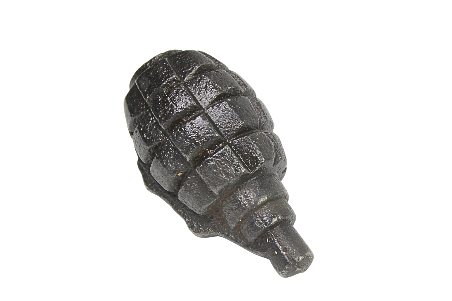 GRANAT SZKOLNY F1 Rzadka odmiana SKORUPA DEKORACYJNA