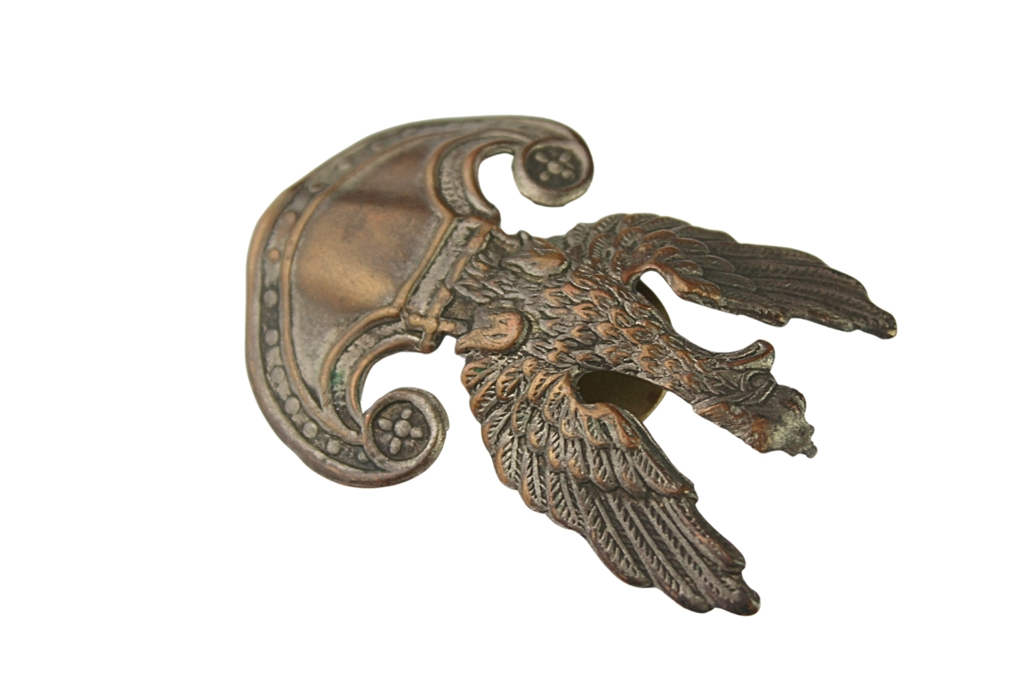 Orzeł wz.19 ciekawy