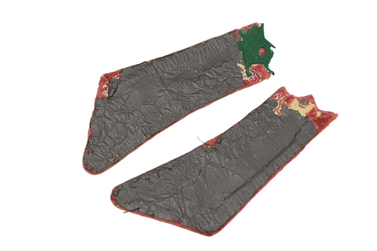 II RP Para Patek lekarza weterynarii