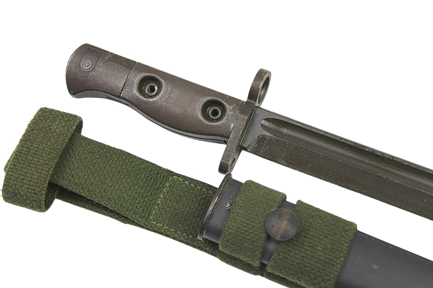 Bagnet australijski L1 A2