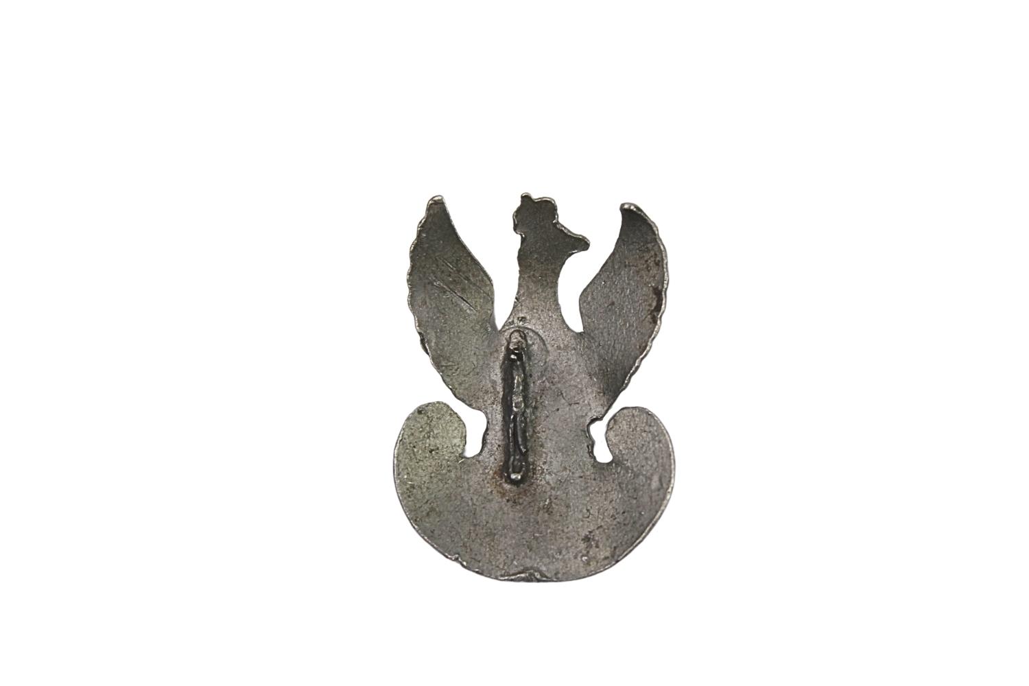 Orzeł furażerkowy Bliski Wschód