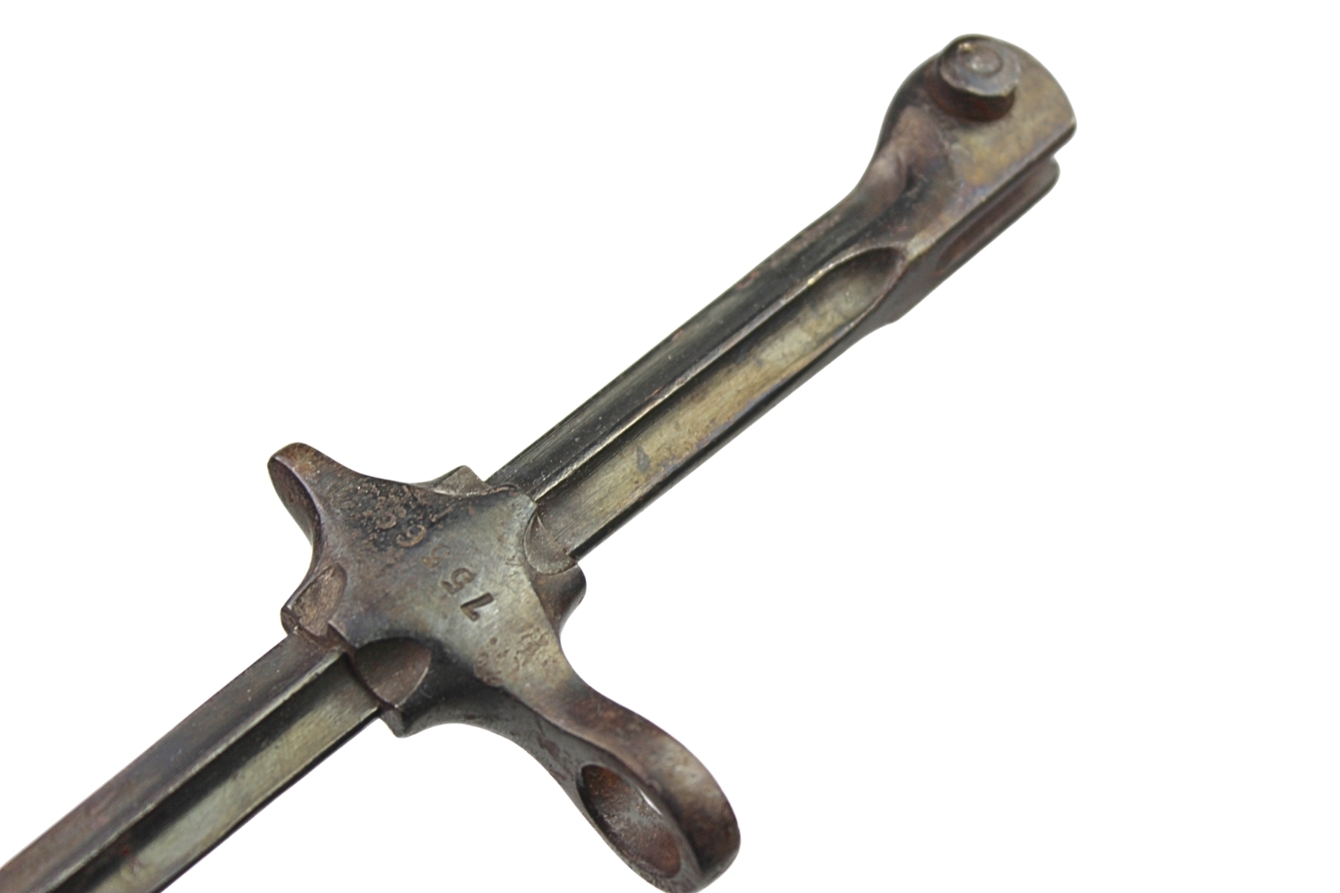 Bagnet szwajcarski M 1900 cyklistów 