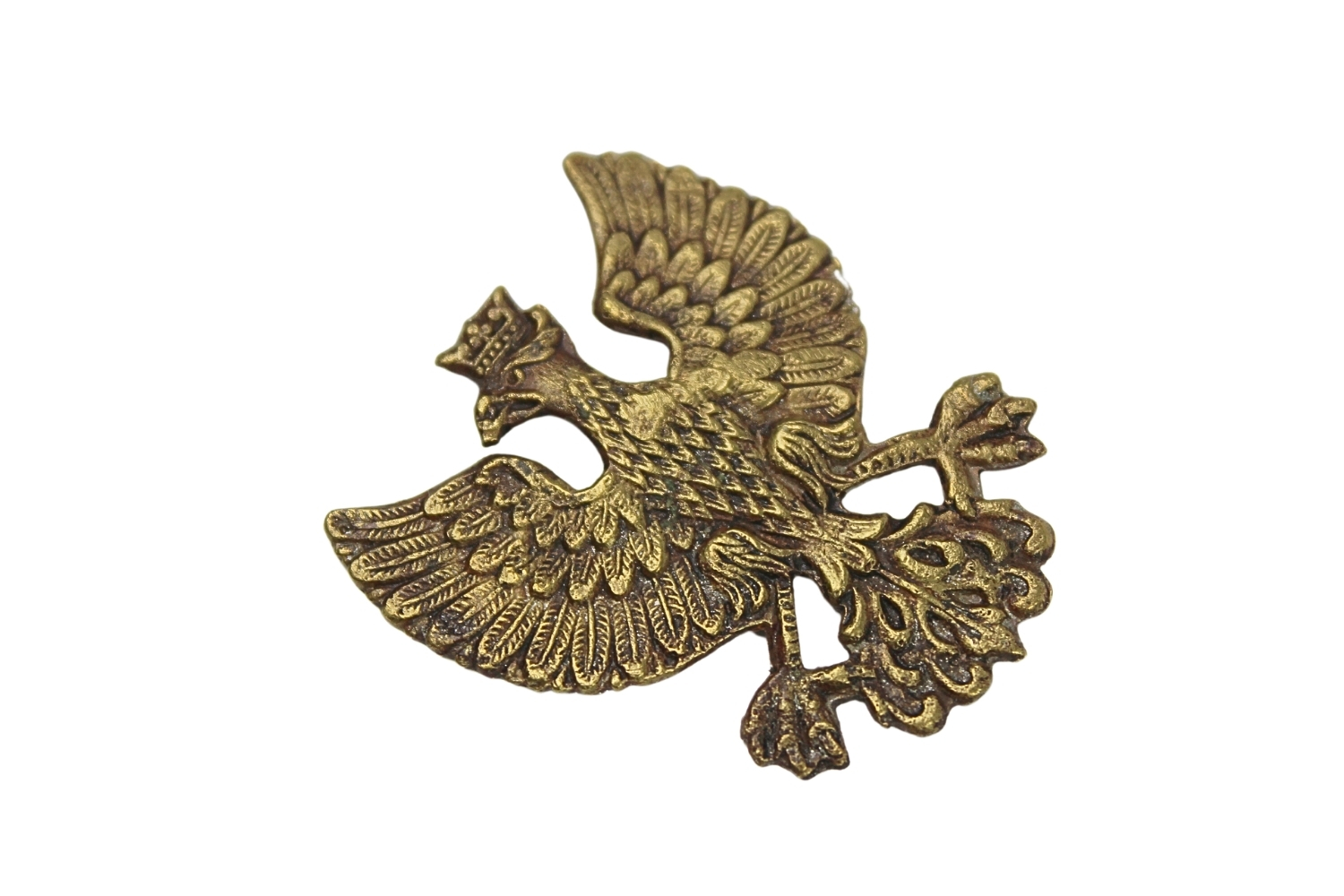 Orzeł Wielkopolski ciekawa odmiana