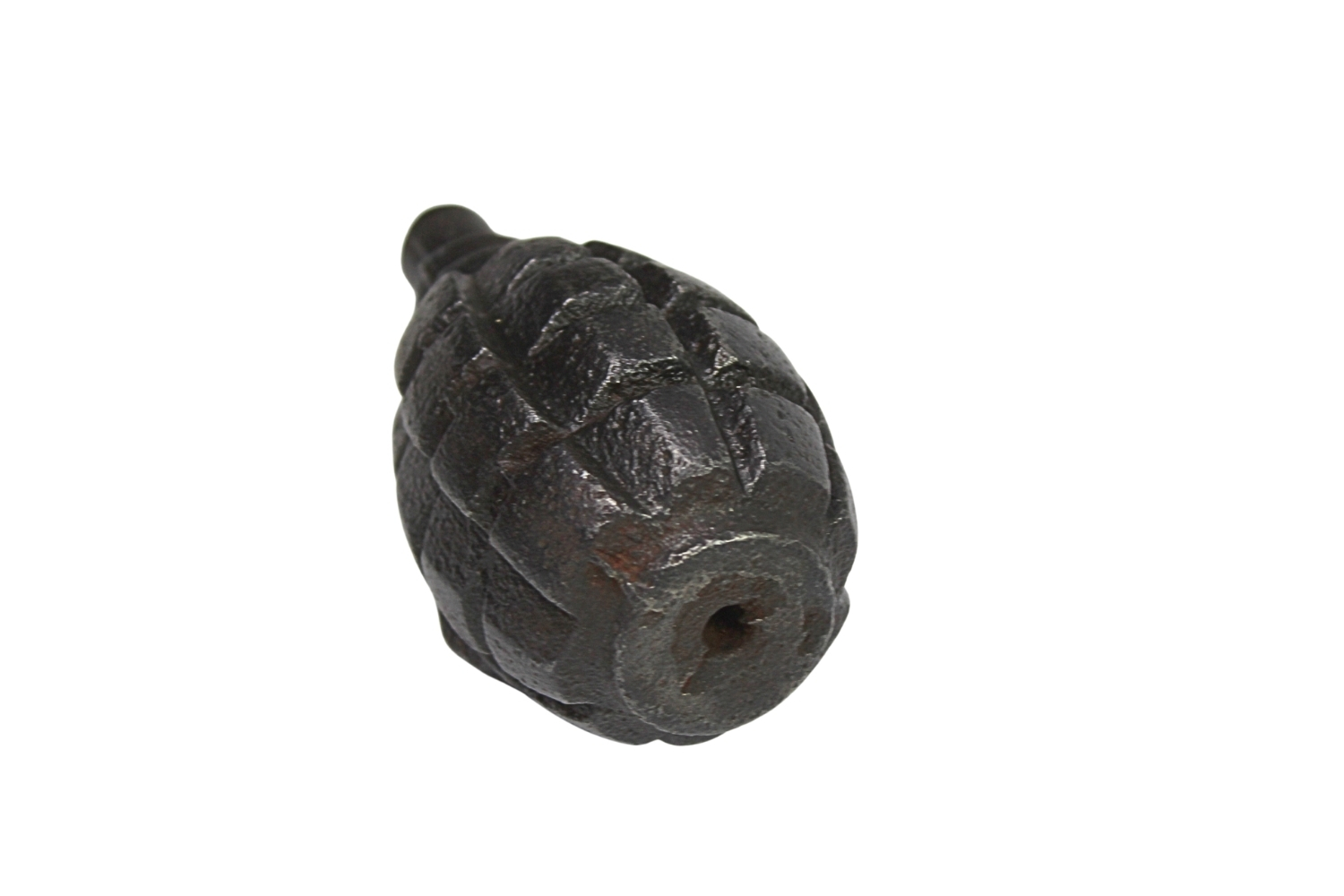 GRANAT SZKOLNY F1 Rzadka odmiana SKORUPA DEKORACYJNA