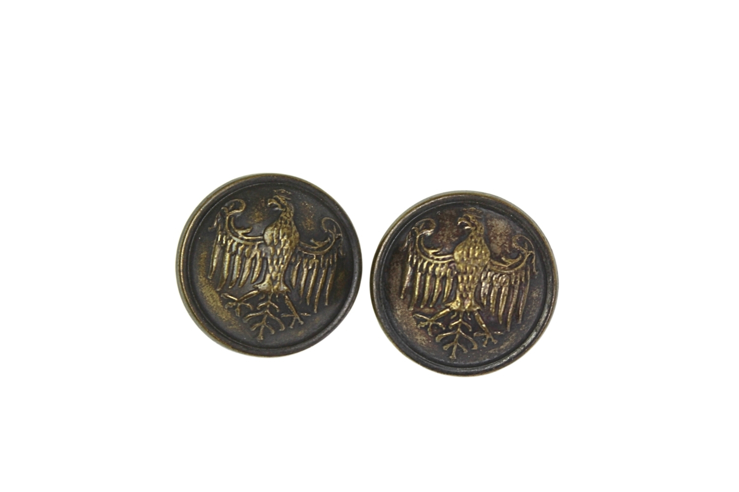 Zestaw guzików hallerowskich 