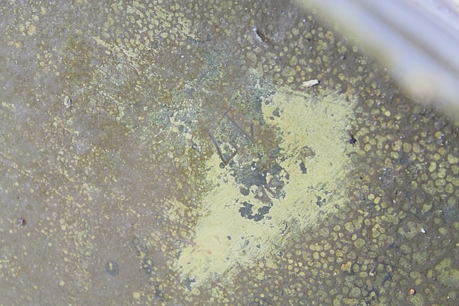 II RP Skrzynia jaszczowa amunicyjna na 3 granaty Haubica 100mm wz.14/19P 