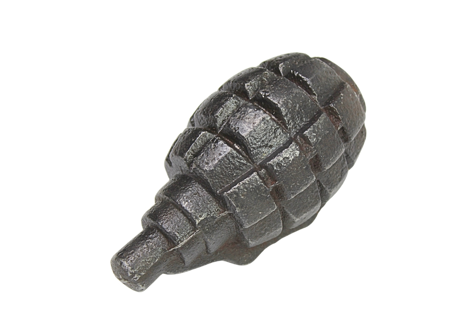 GRANAT SZKOLNY F1 Rzadka odmiana SKORUPA DEKORACYJNA