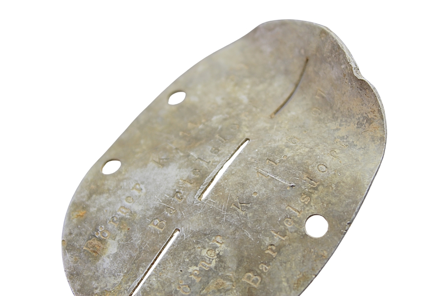 NIEŚMIERTELNIK NIEMIECKI ciekawy 