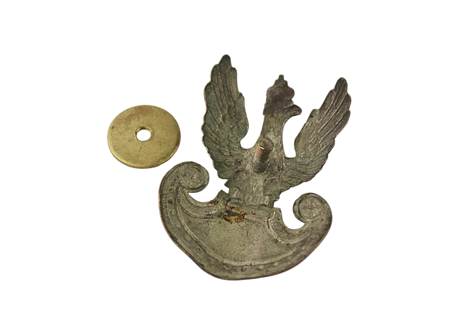 Orzeł wz.19 ciekawy