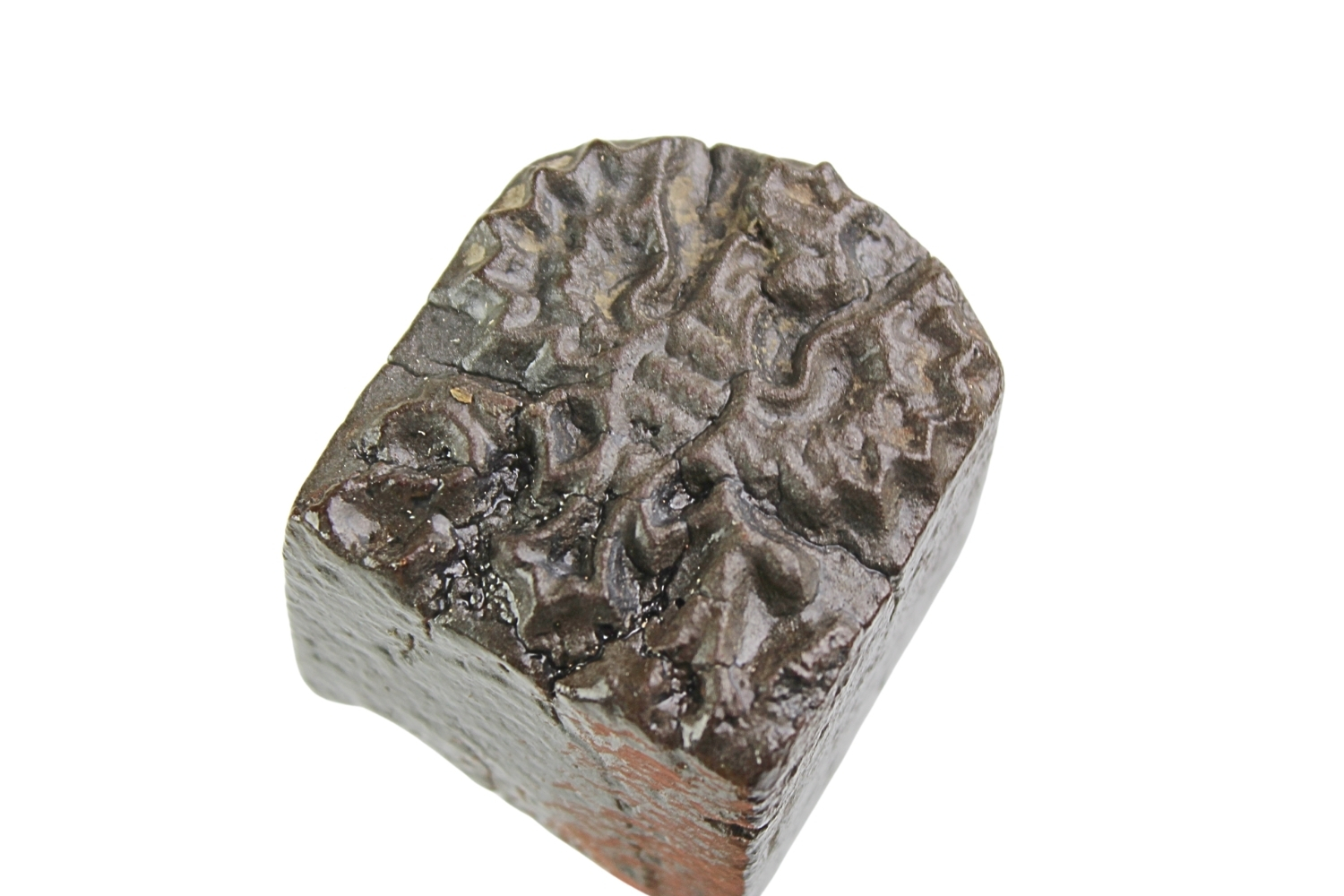 II RP Kawaleria Stempel do znakowania koni M.S. Wojsk