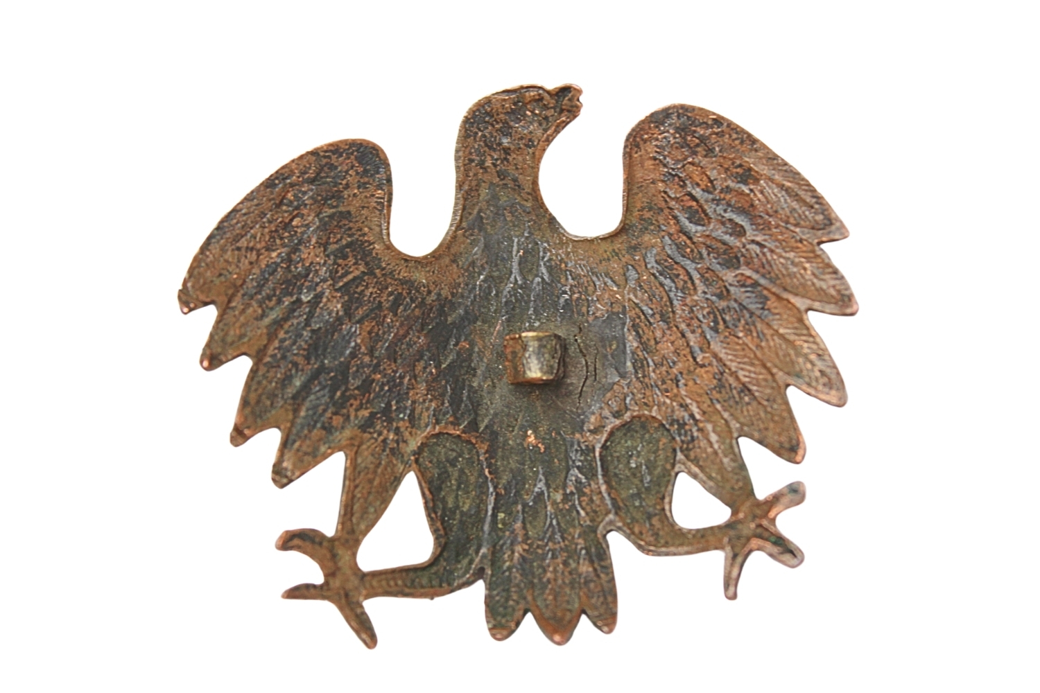 ORZEŁ WZ. 43 KURICA