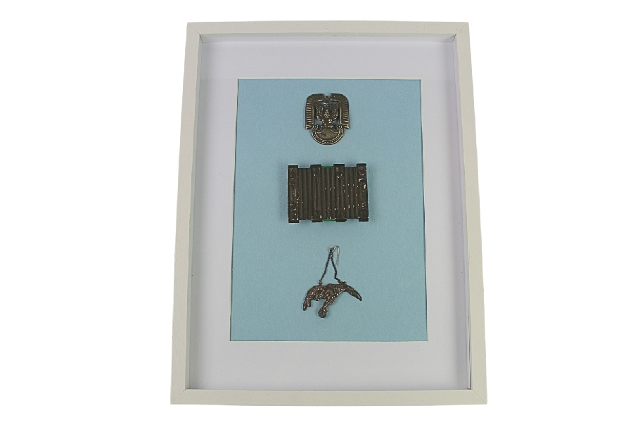 II RP Zestaw - Orzeł Lotniczy wz.36, Gapa J. Knedler, PZL P.11