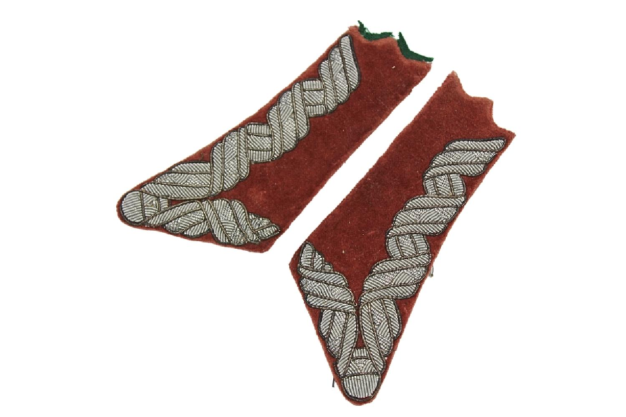 II RP Para Patek lekarza weterynarii