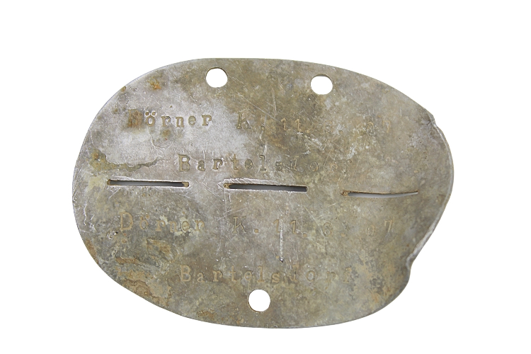 NIEŚMIERTELNIK NIEMIECKI ciekawy 