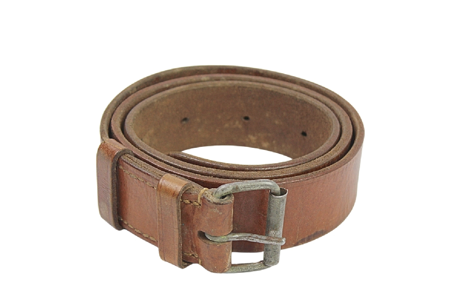 LWP Pas wz.31/50 S.Cecha