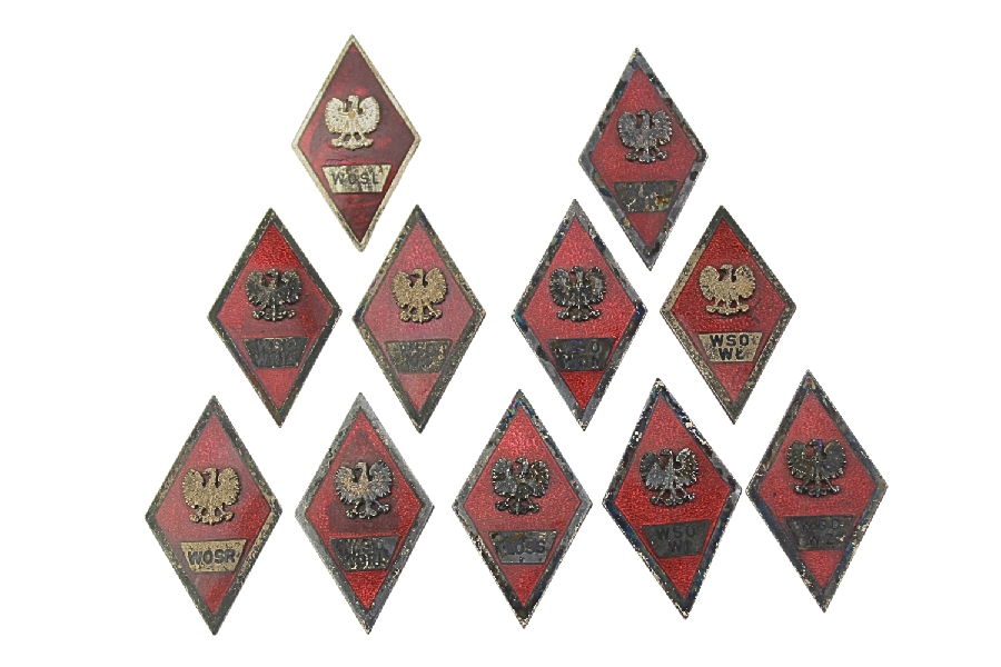 Zestaw odznak Absolwentek 