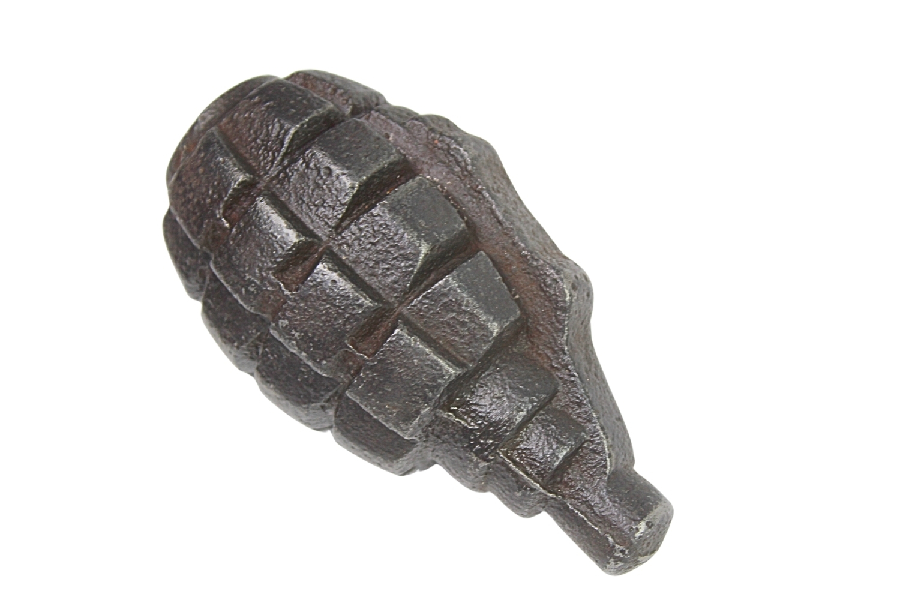 GRANAT SZKOLNY F1 Rzadka odmiana SKORUPA DEKORACYJNA