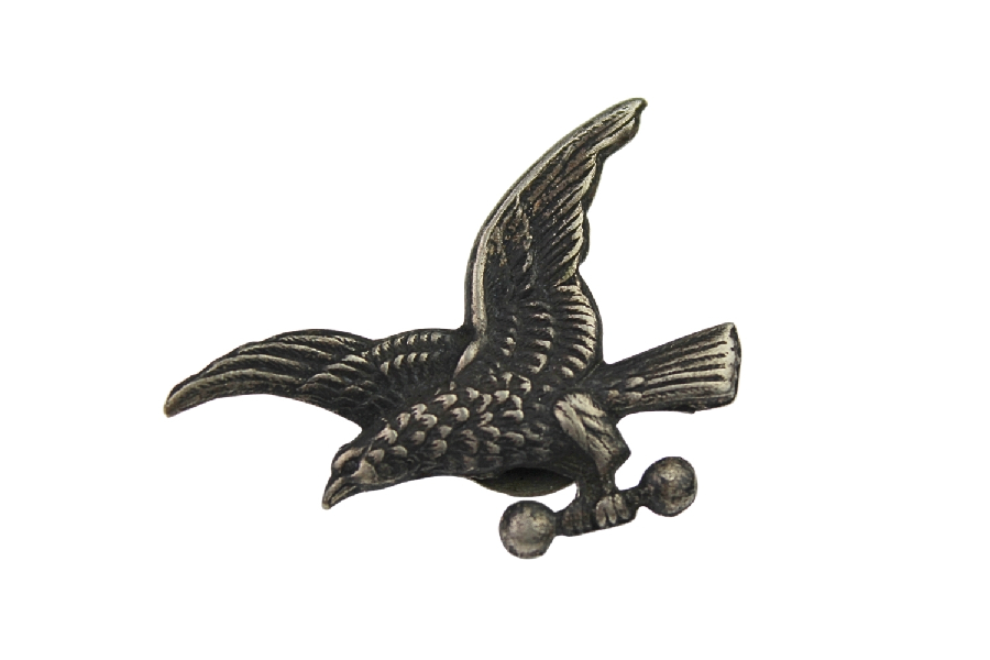 II RP Odznaka organizacji Sokół