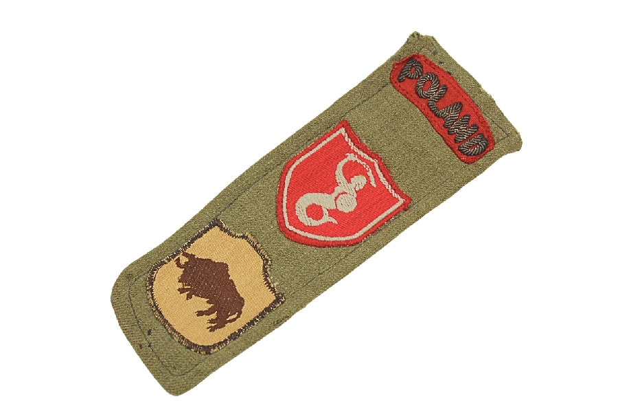 PSZnZ Naramiennik 2 Korpus polski 5 Kresowa Dywizji Piechoty