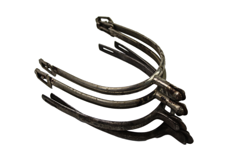 II RP Kawaleria Dwie Pary Ostróg