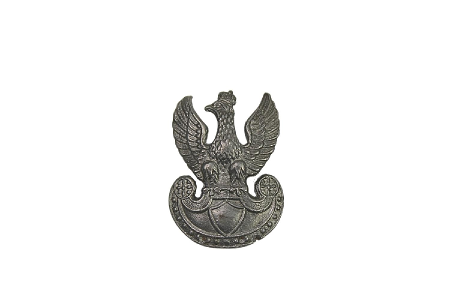 Orzeł furażerkowy Bliski Wschód